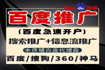 网络推广竞价实战：某电商平台的成功案例